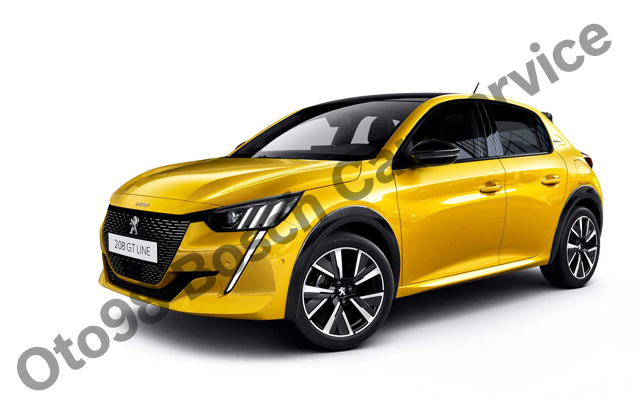 Kartal Peugeot Servisi